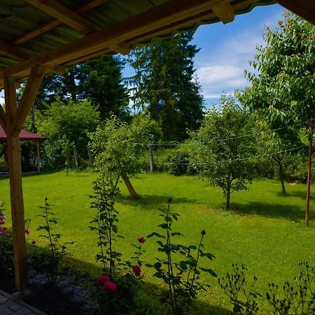 Pension Verona Centru クルージュ＝ナポカ エクステリア 写真